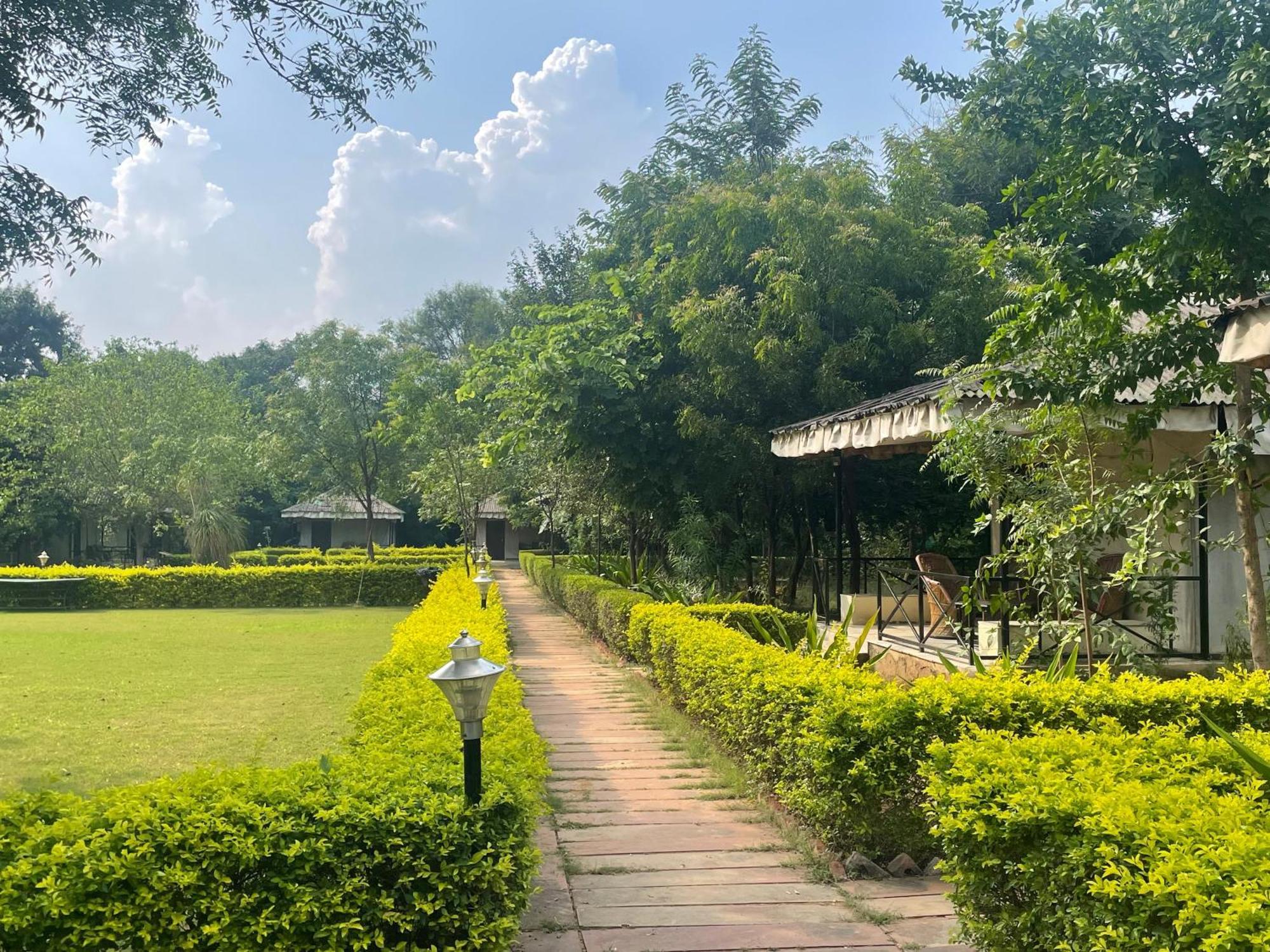 Sariska Tiger Heaven Hotel Akbarpur  Buitenkant foto